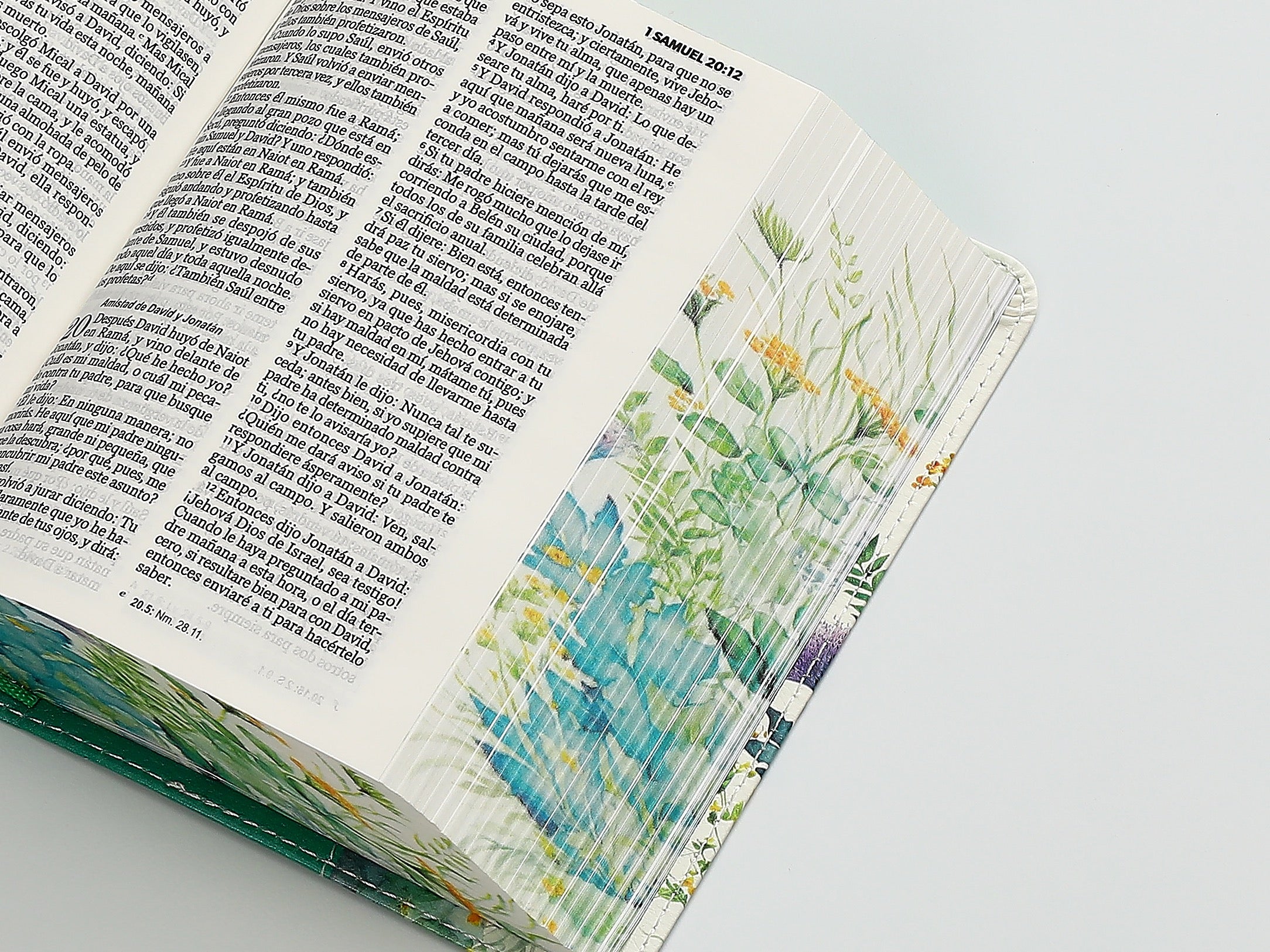 Biblia RVR60 bolsillo