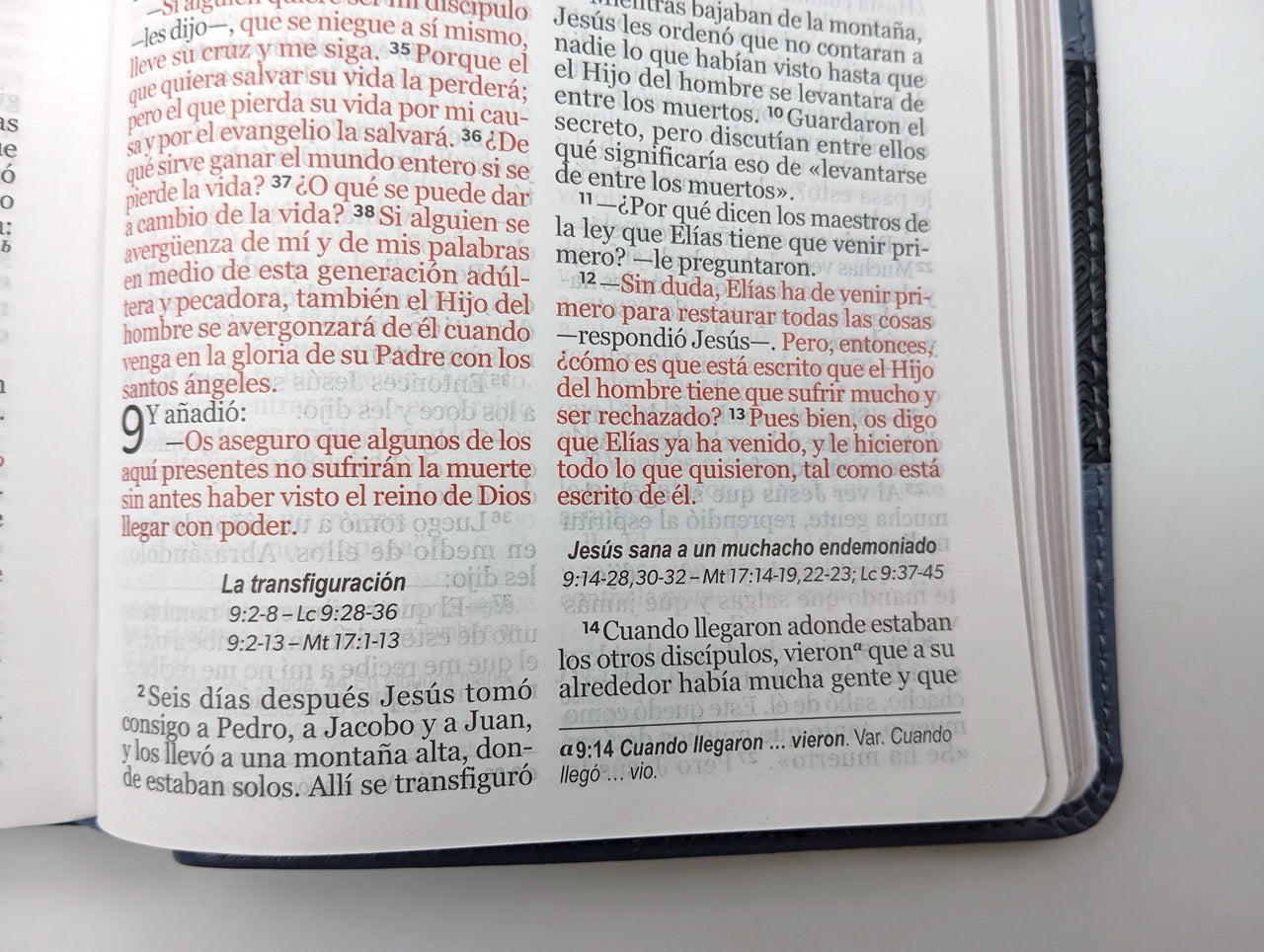 Biblia NVI Peninsular Portátil Letra Grande Negro