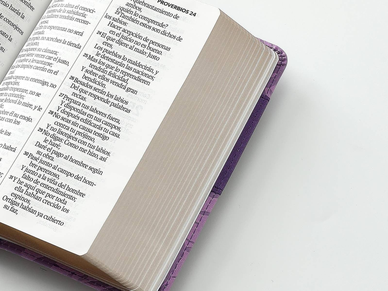 Biblia RVR60 Tamaño compacto Letra Grande lila