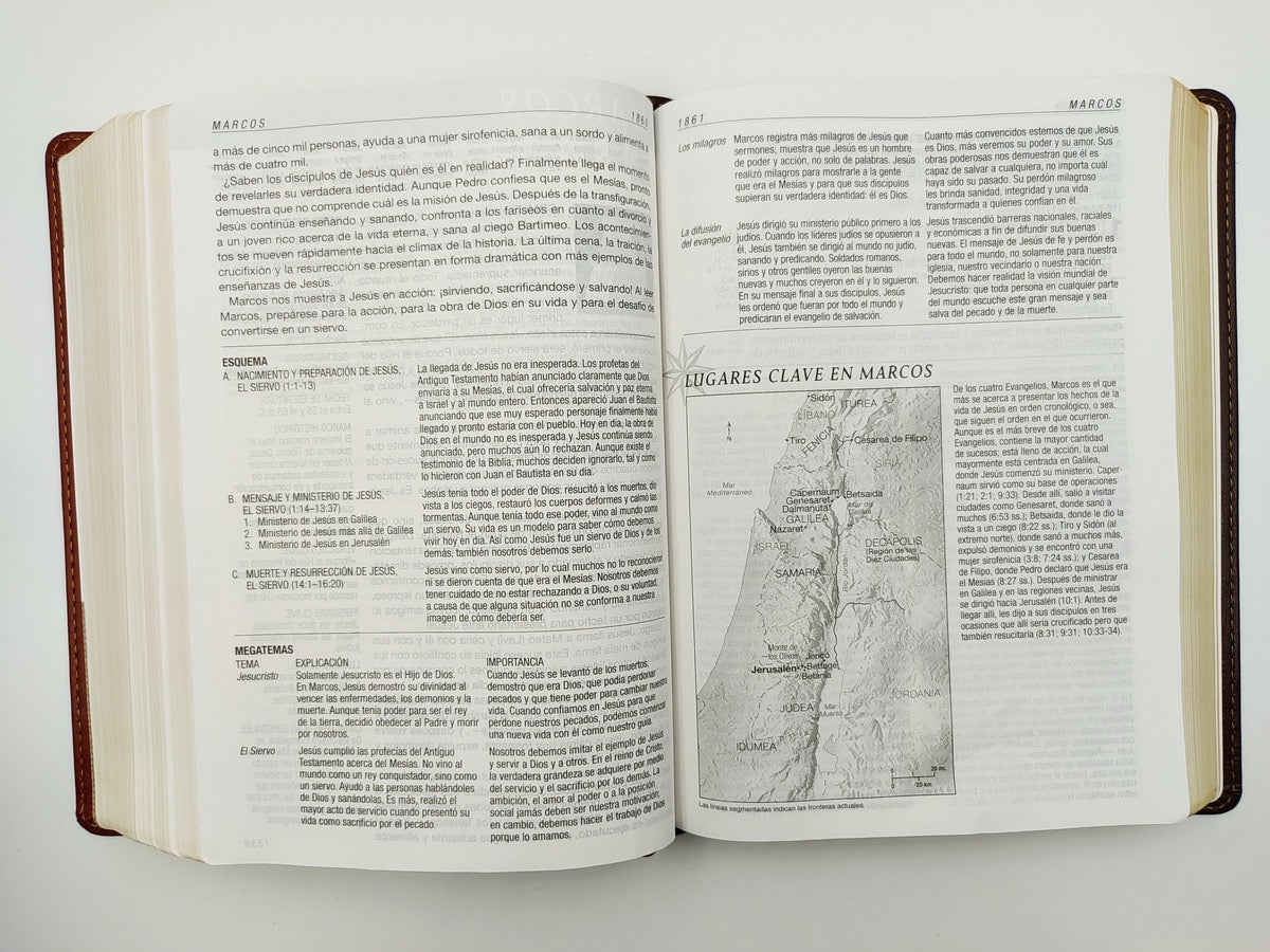 Biblia RVR 1960 de Estudio Diario Vivir Letra Grande simil piel