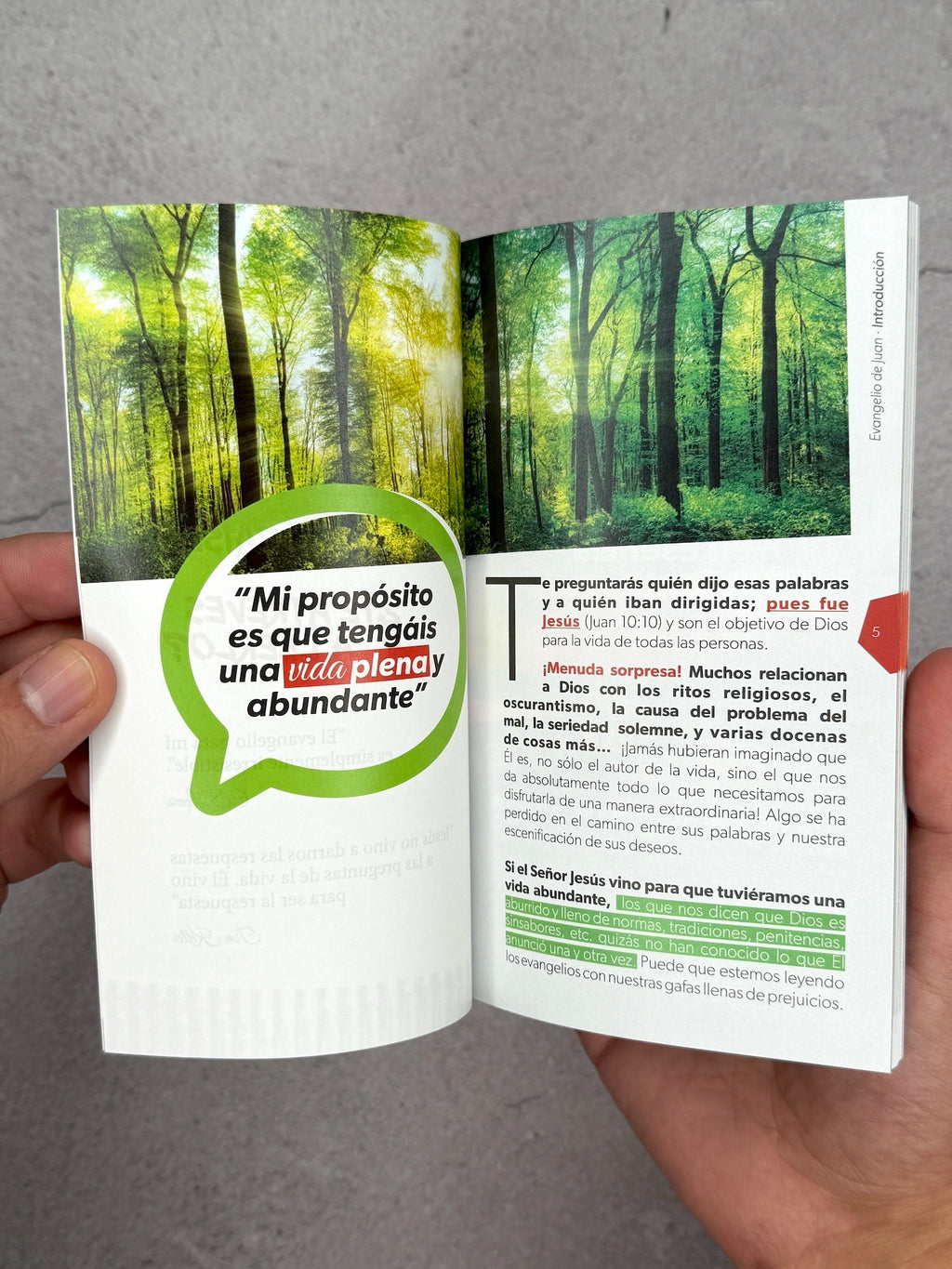 Biblia NVI Evangelio de Juan