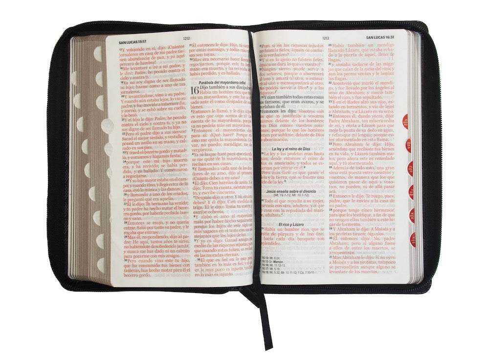 Biblia RVR60 Tamaño Manual Letra Grande cierre indice