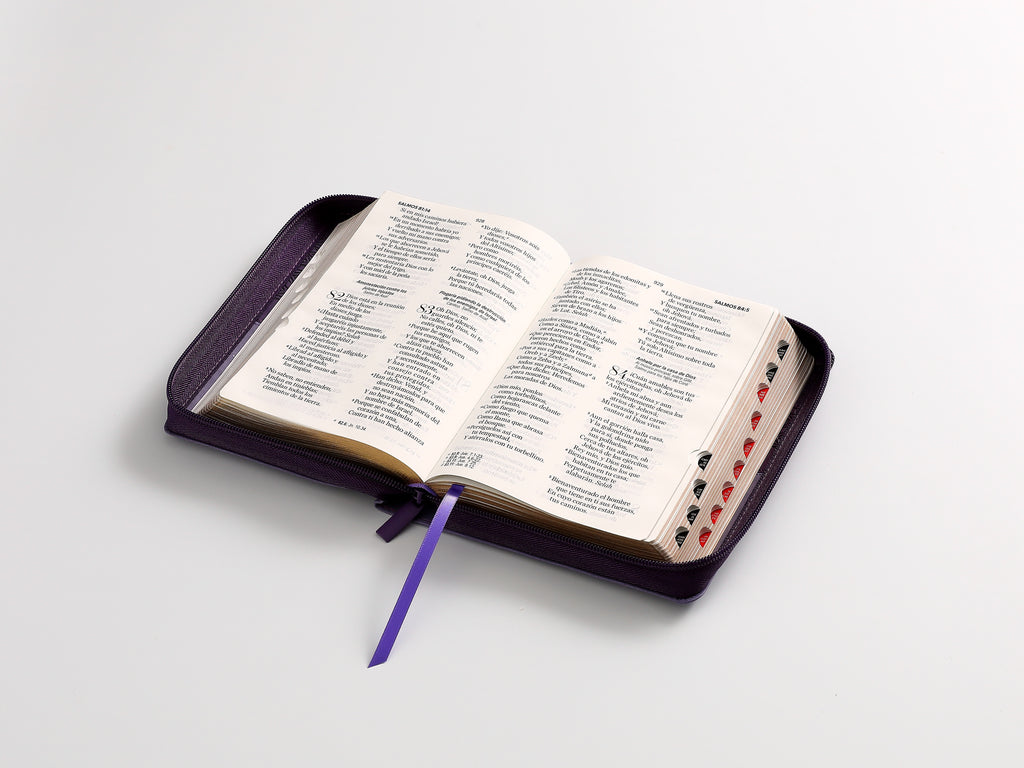 Biblia RVR60 portátil Letra 11 puntos piel con cierre lila