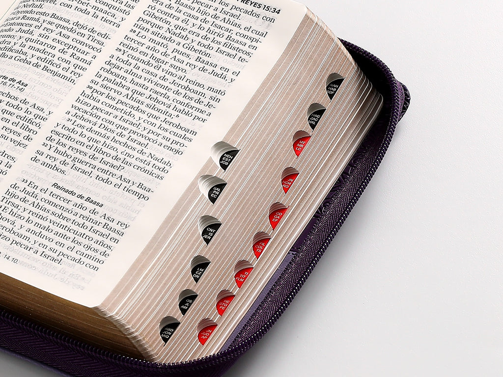 Biblia RVR60 portátil Letra 11 puntos piel con cierre lila