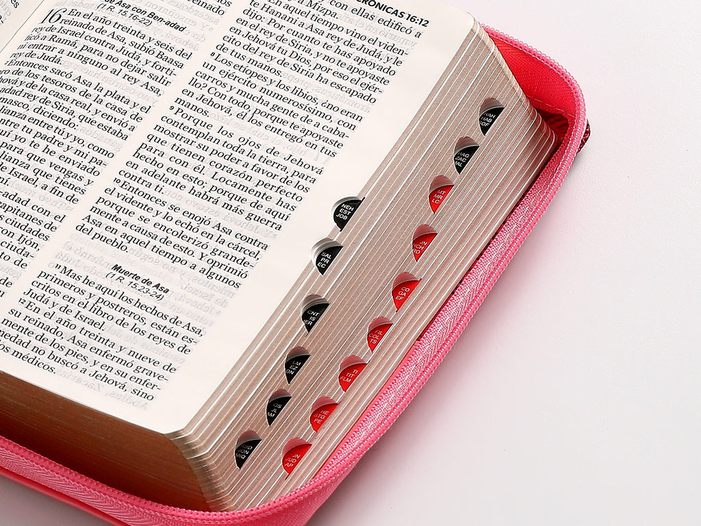 Biblia RVR60 portátil Letra 11 puntos rosa