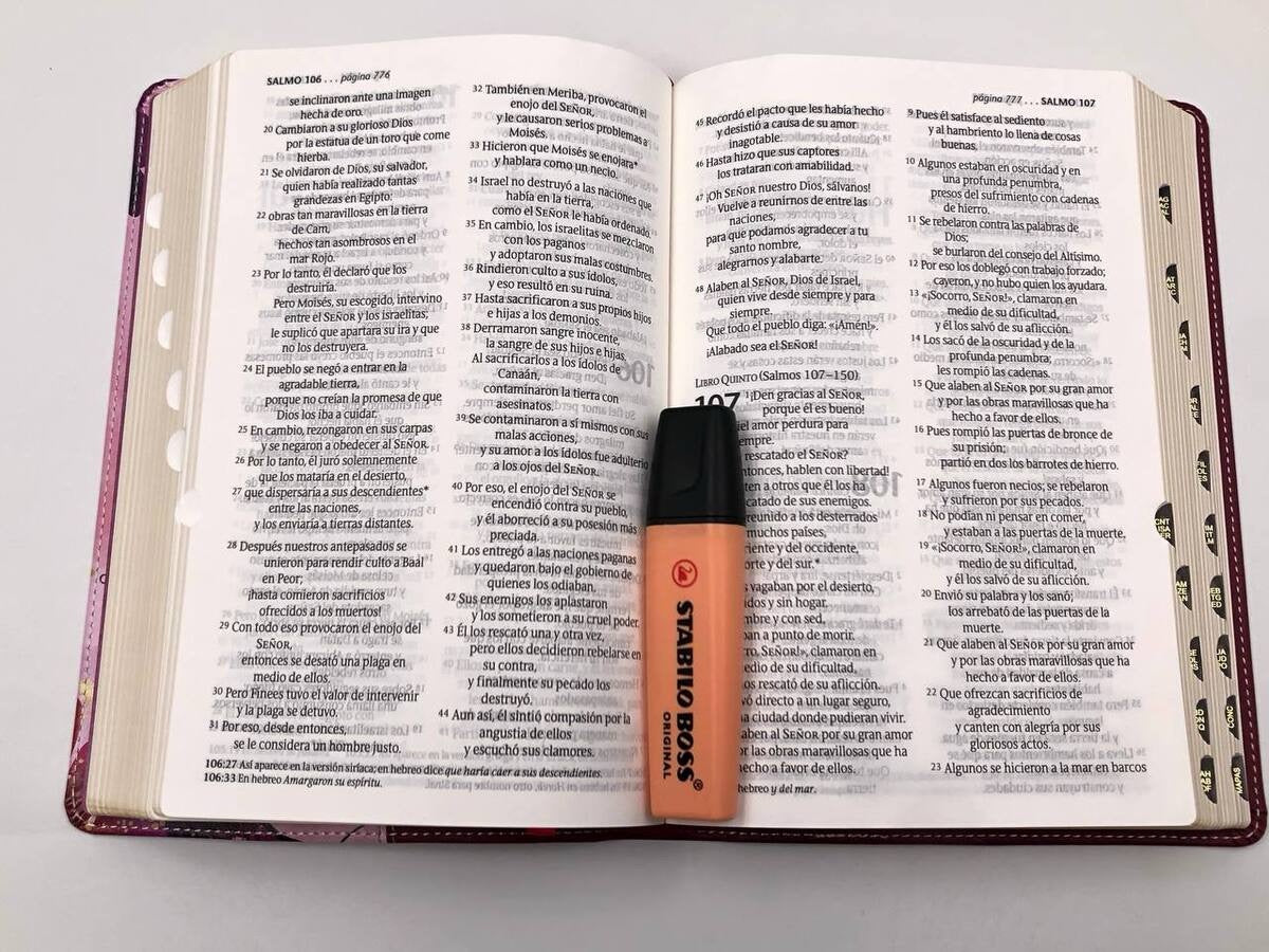 Biblia NTV Letra Grande Tamaño Personal con idnice