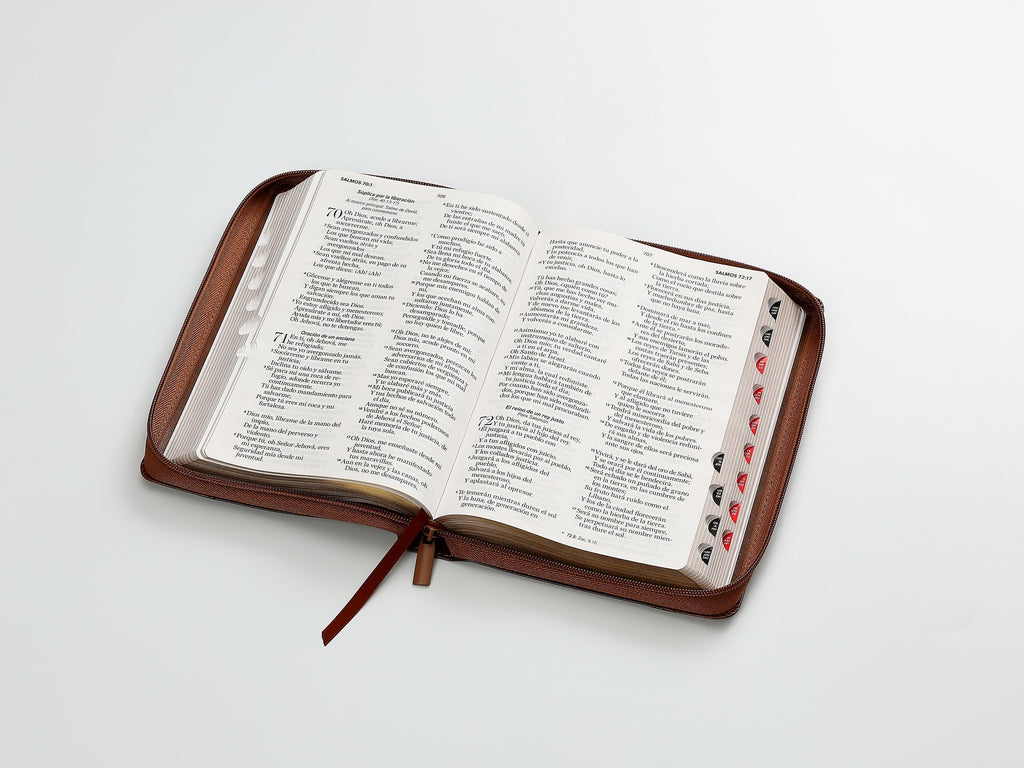 Biblia RVR60 Tamaño Manual letra grande
