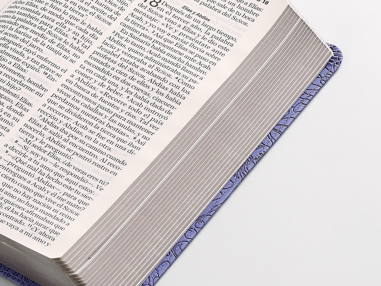 Biblia NVI Peninsular Letra GRande Tamaño manual Lila