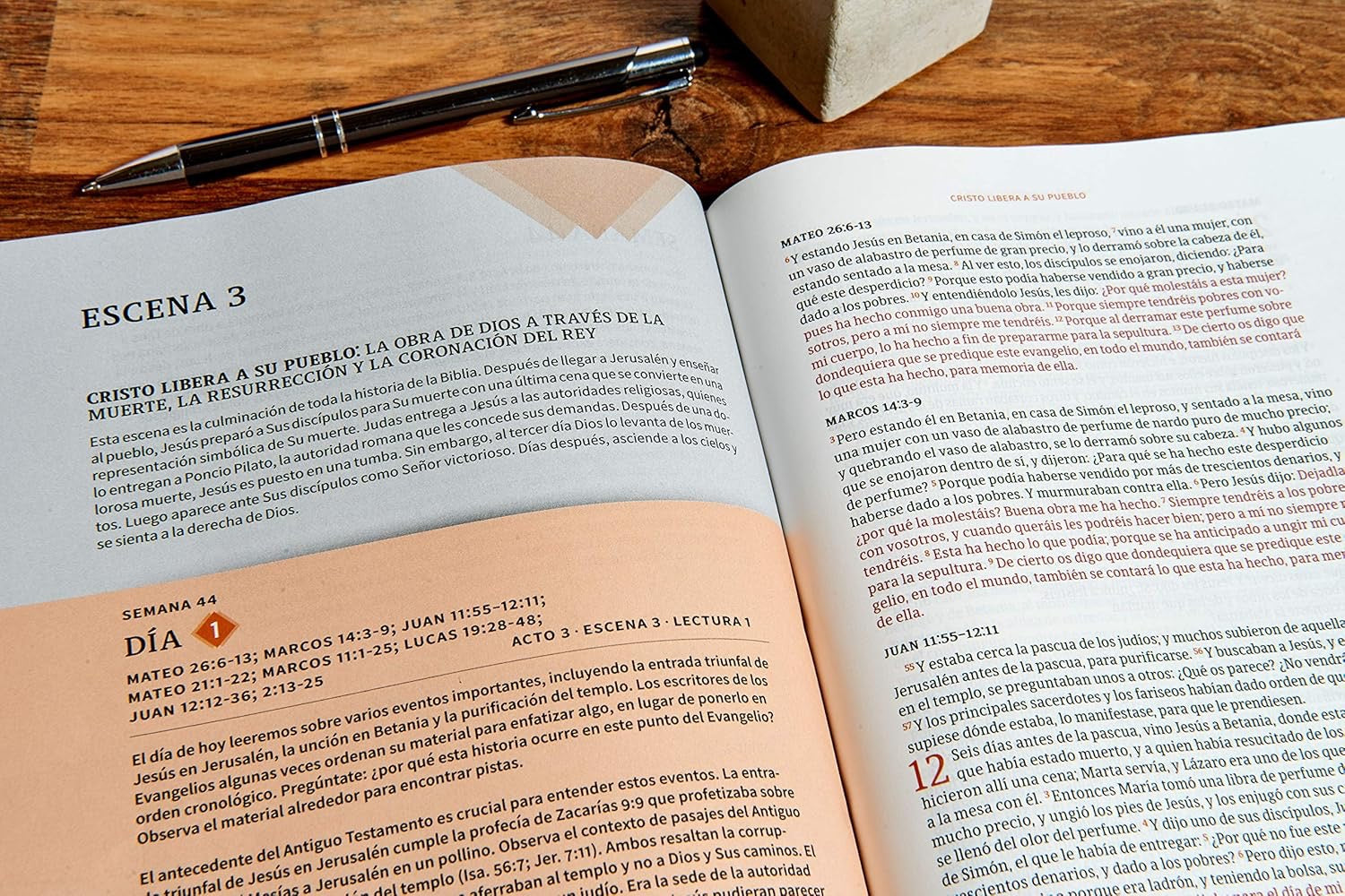 Biblia RVR 1960 Cronologica Día por Día Marrón Símil Piel