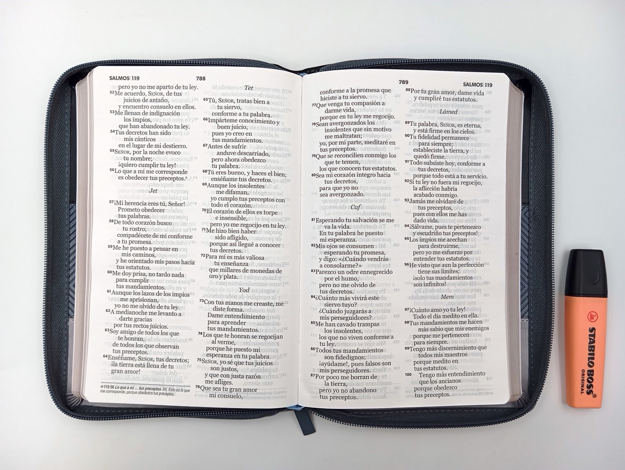 Biblia NVI Peninsular Tamaño Manual Letra Grande TRicolor Negro