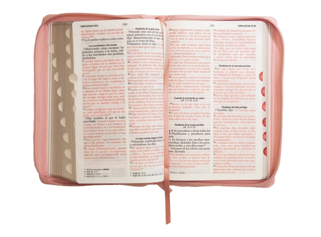 Biblia RVR60 Tamaño Manual Letra Grande rosa claro