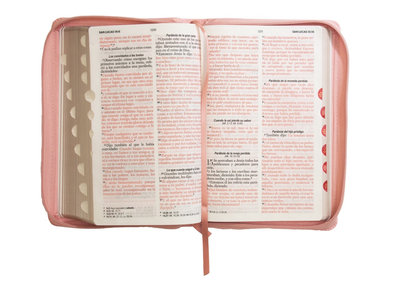 Biblia RVR60 Tamaño Manual Letra Grande rosa claro