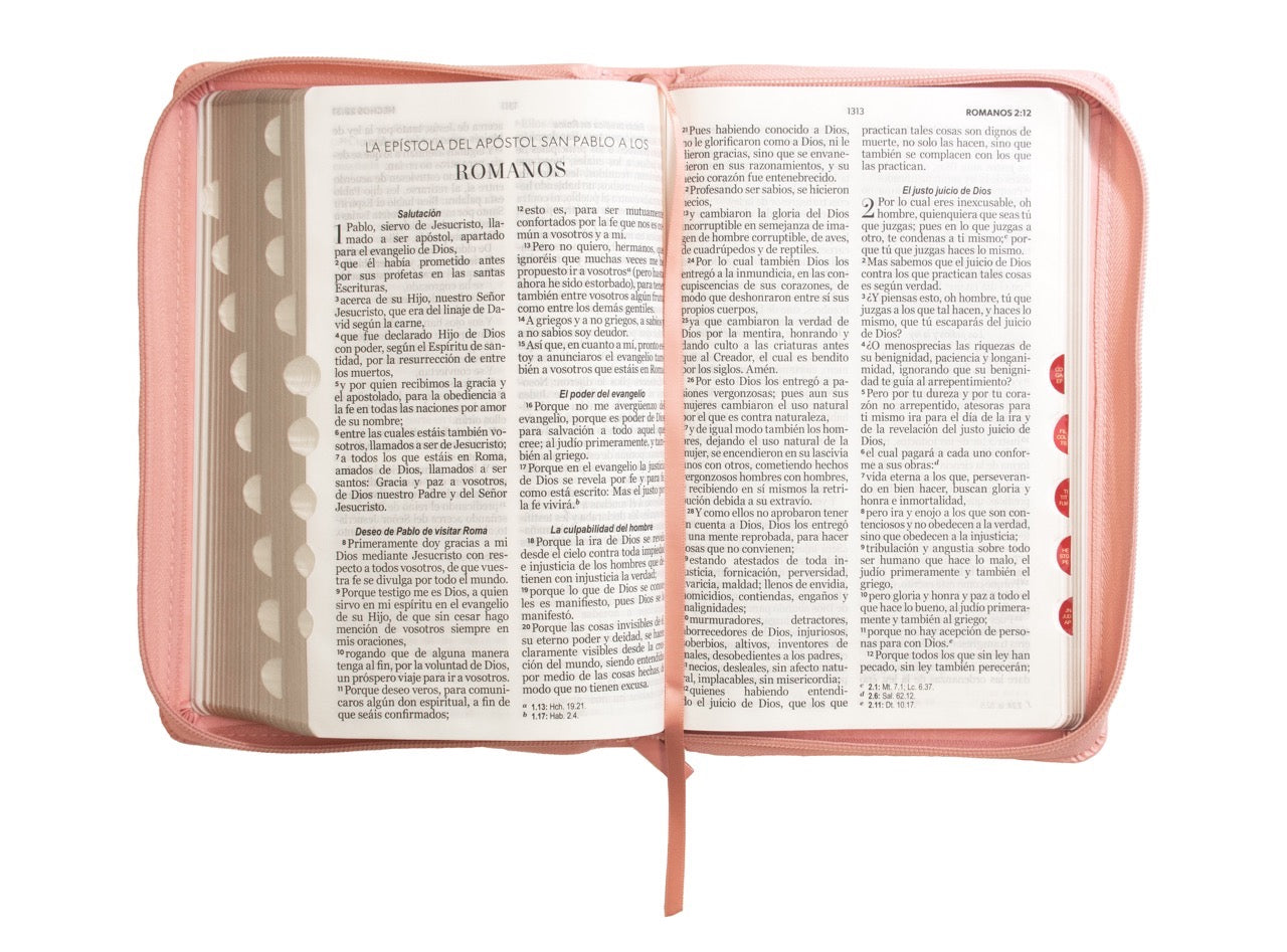 Biblia RVR60 Tamaño Manual Letra Grande rosa claro