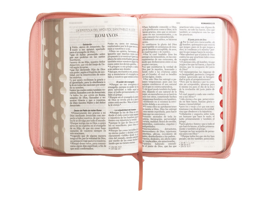 Biblia RVR60 Tamaño Manual Letra Grande rosa cierre indice
