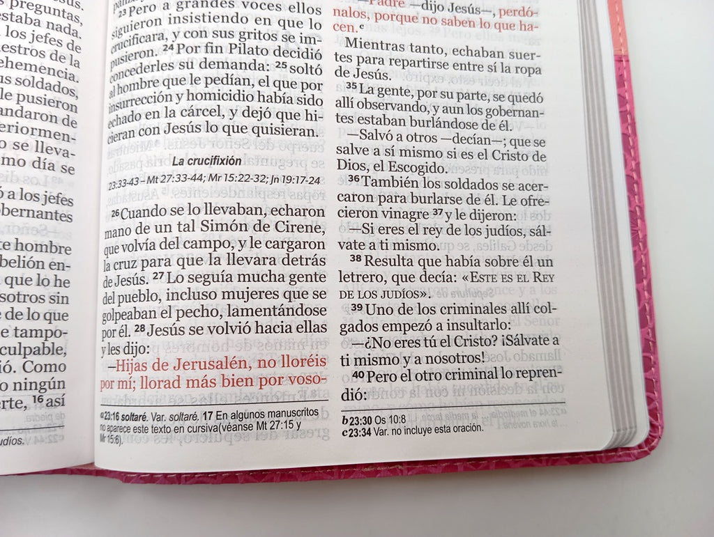Biblia NVI Peninsular Tamaño manual letra grande rosa