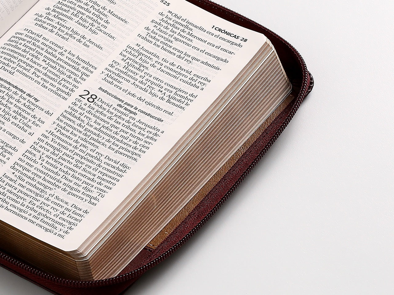 Biblia NVI Peninsular Portátil Letra Grande Bicolor Café