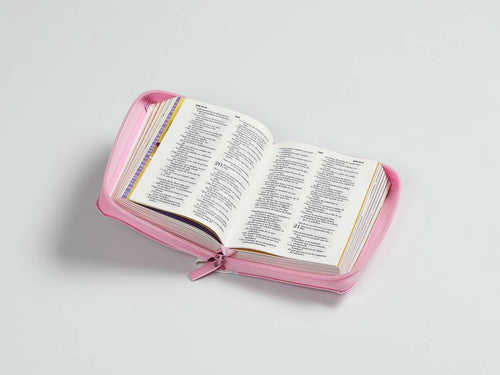 Biblia RVR60 Mi gran viaje bolsillo cierre rosa