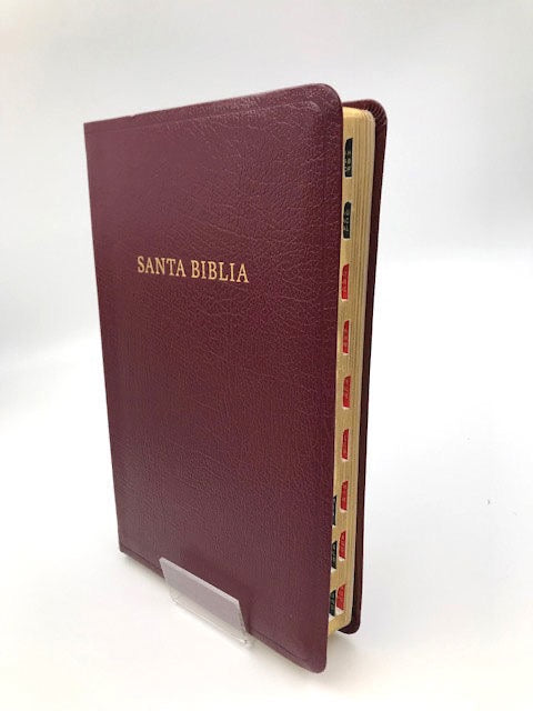 Biblia RVR 1960 Letra Súper Gigante Símil Piel indice