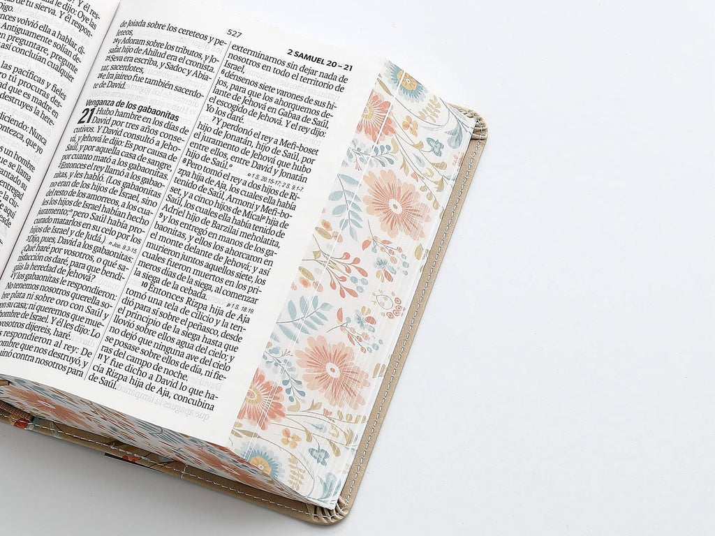 Biblia RVR60 Tamaño compacto Letra Grande 12 puntos crema