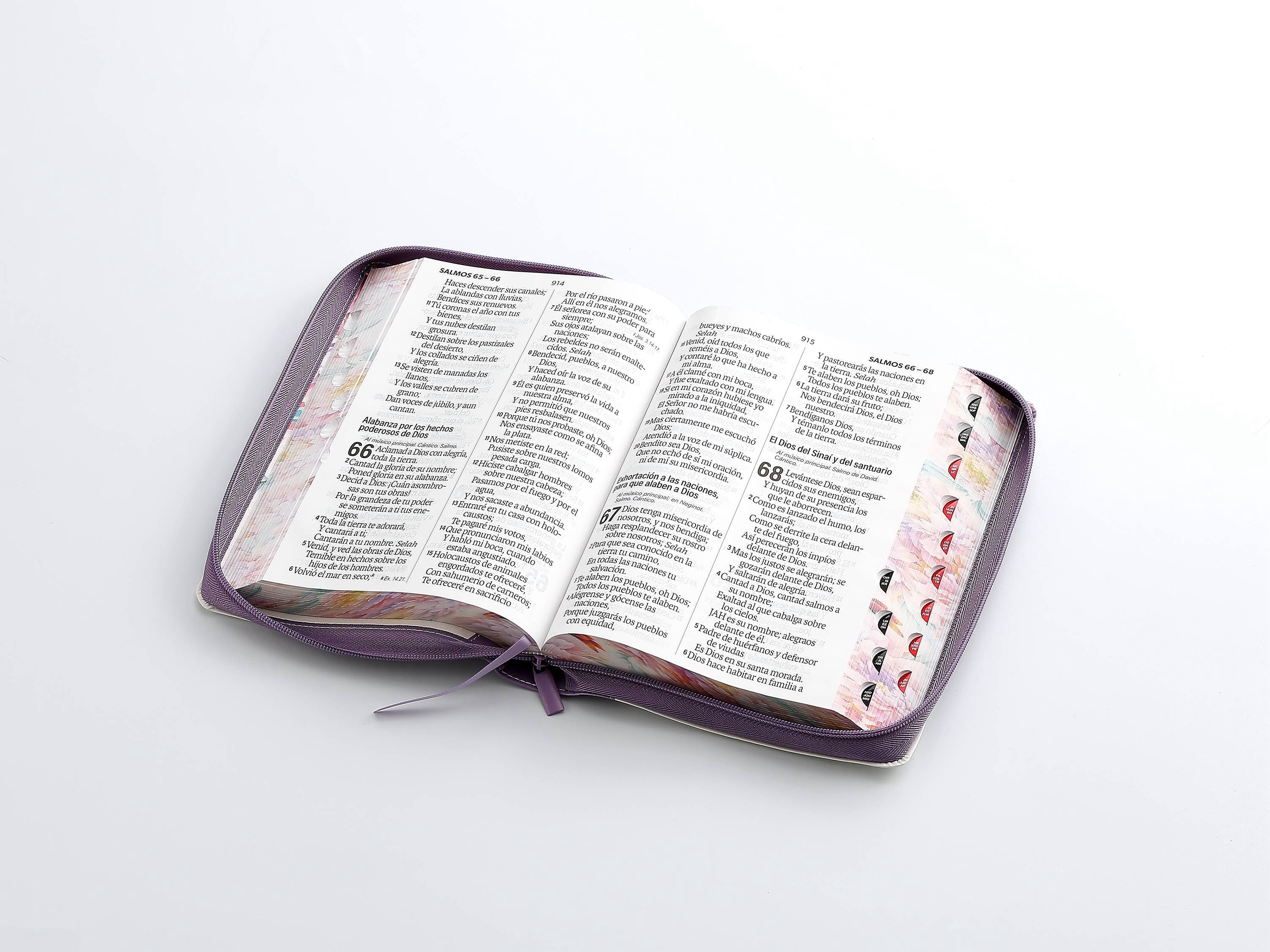 Biblia RVR60 Letra Súper Gigante i/piel jardín Lila con cierre/índice