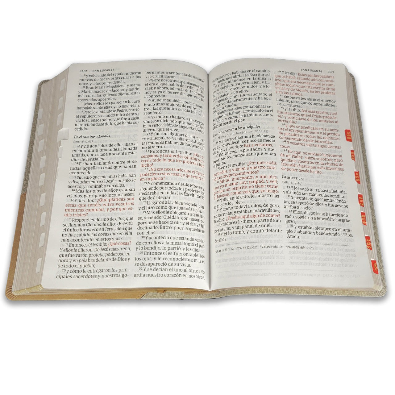 Biblia RVR 1960 Súper Gigante Gris Símil Piel con Índice