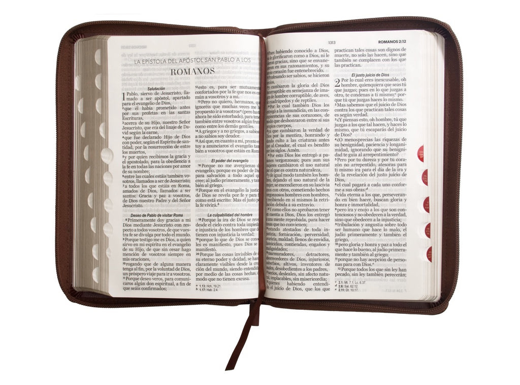 Biblia RVR60 Tamaño Manual Letra Grande cierre indice