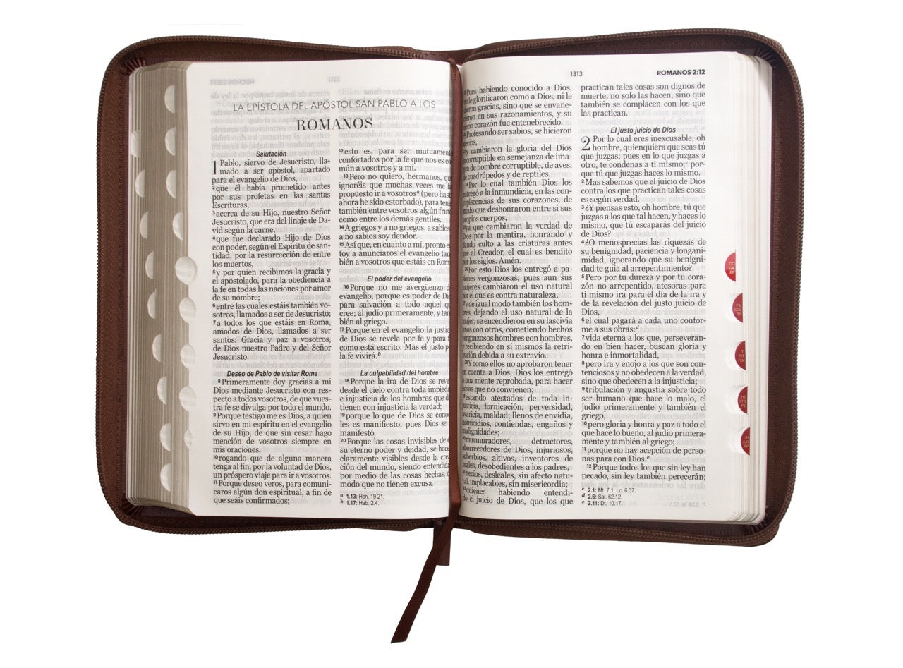 Biblia RVR60 Tamaño Manual Letra Grande cierre indice