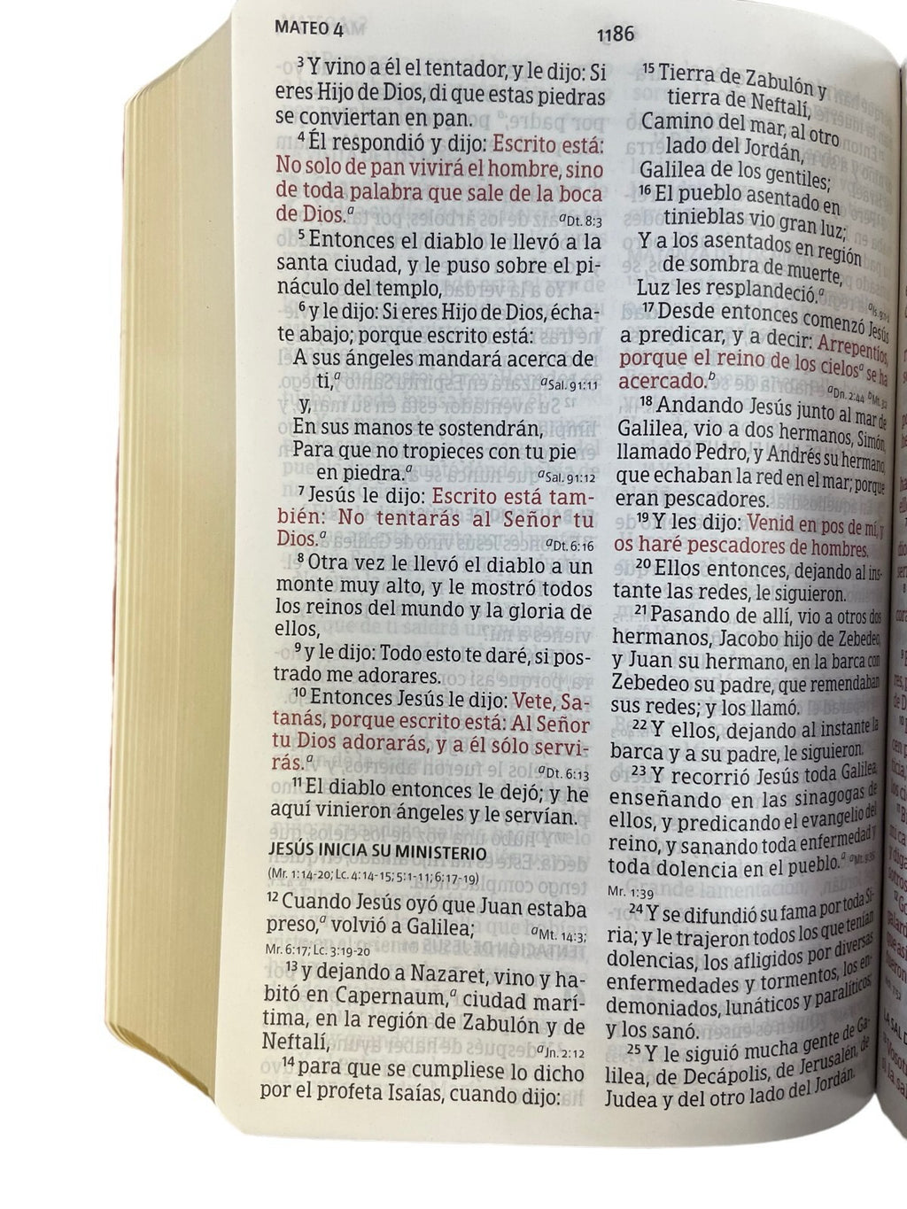 Biblia RVR 1960 Letra Grande Tamaño Manual marrón