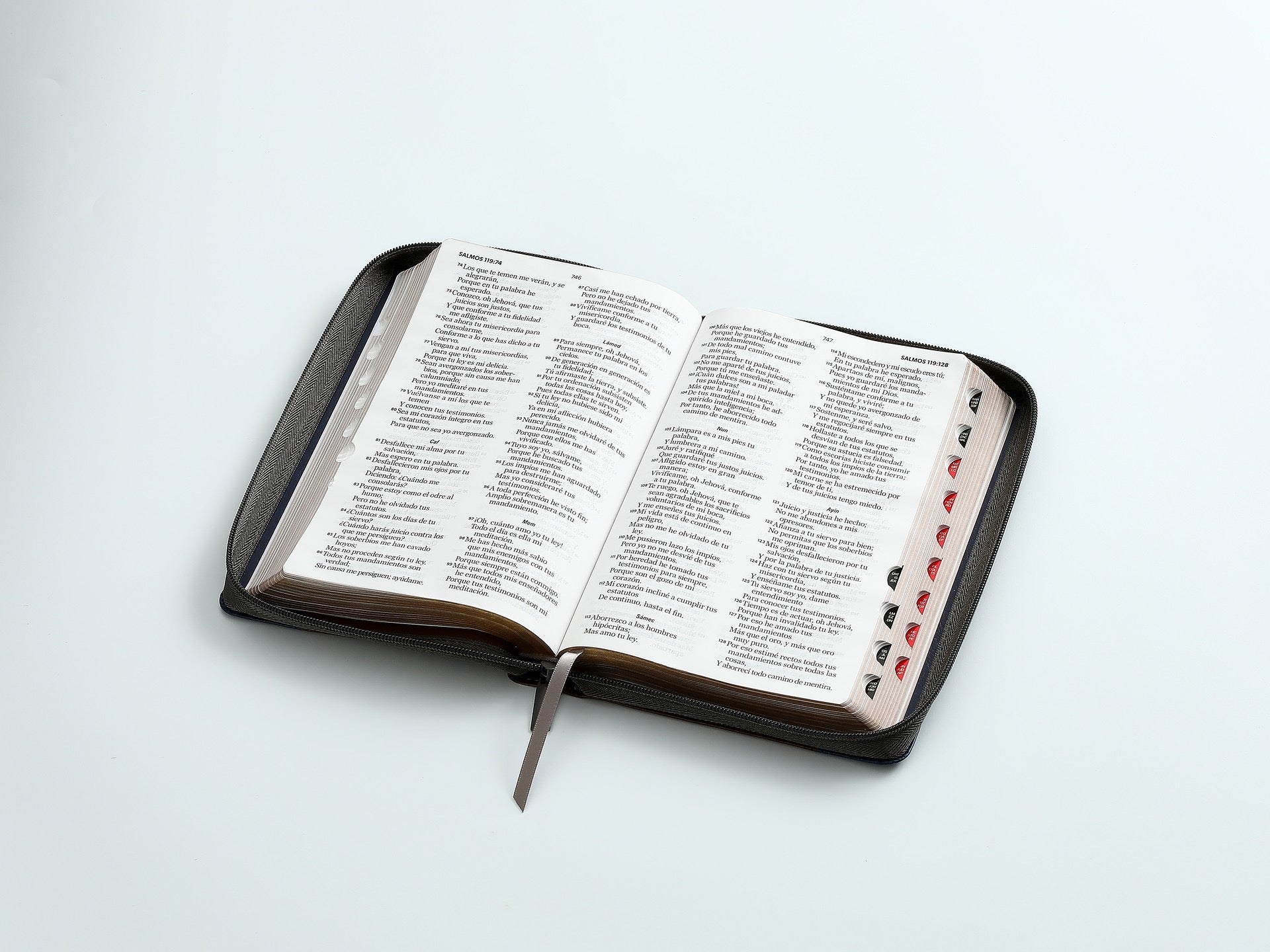 Biblia RVR60 Tamaño Manual letra grande faro