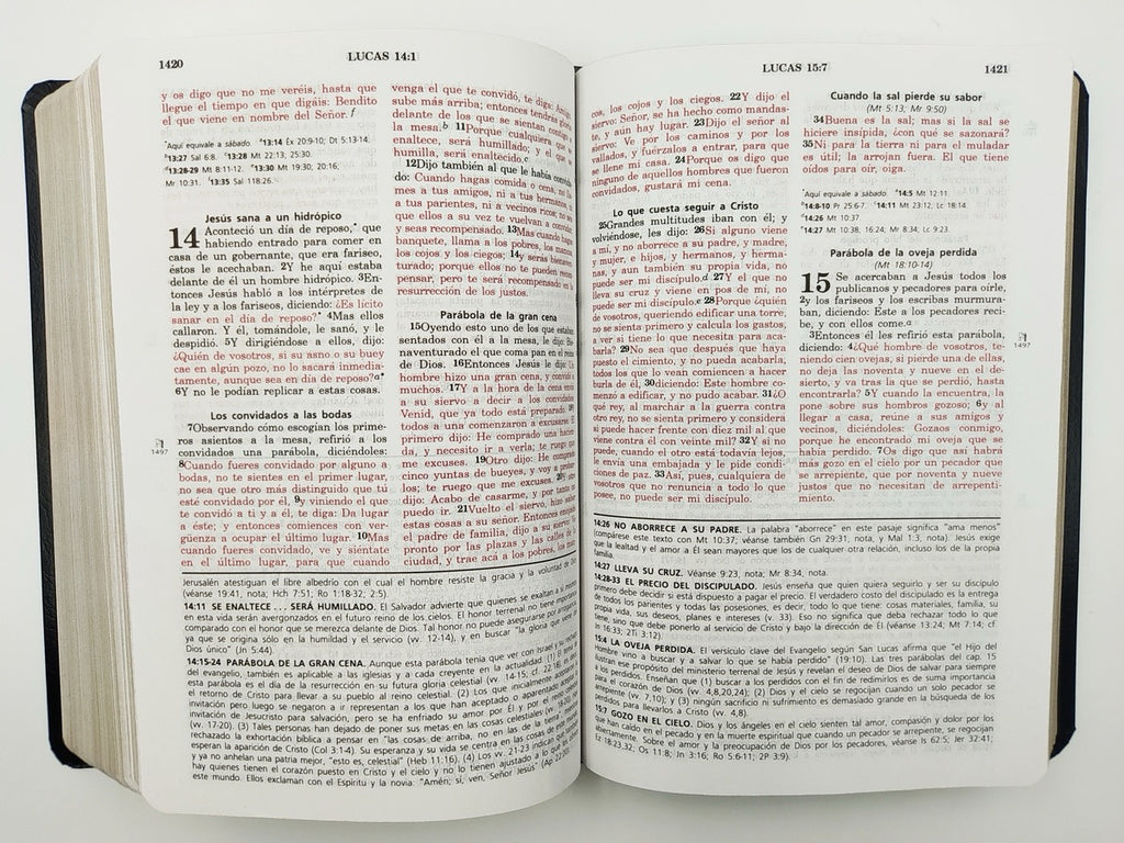 Biblia de estudio Vida Plena RVR60 piel Negro