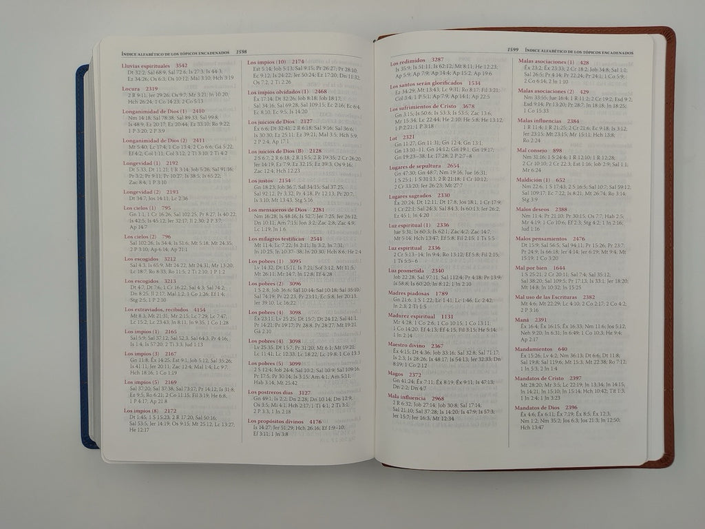 Biblia Thompson RVR60 para estudio biblico Dos Tonos