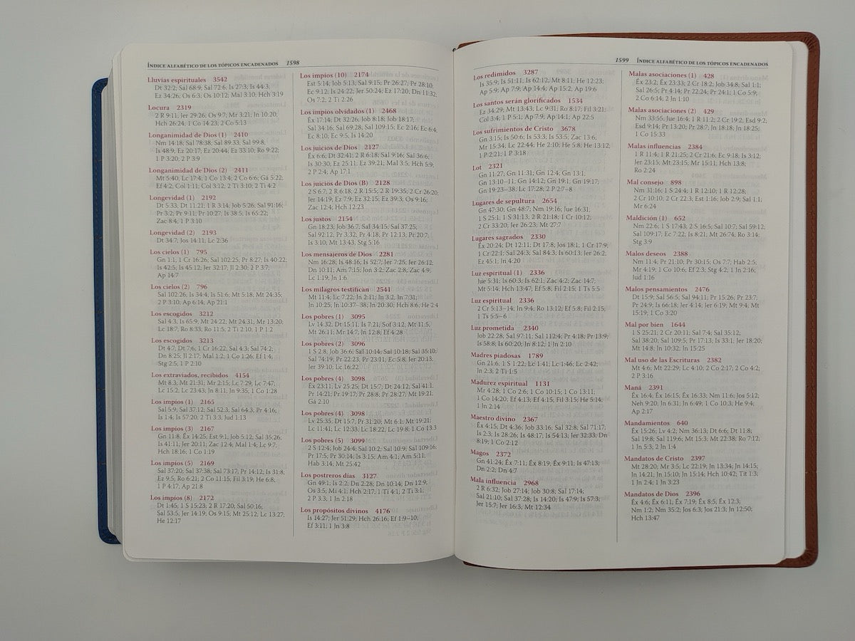 Biblia Thompson RVR60 para estudio biblico Dos Tonos