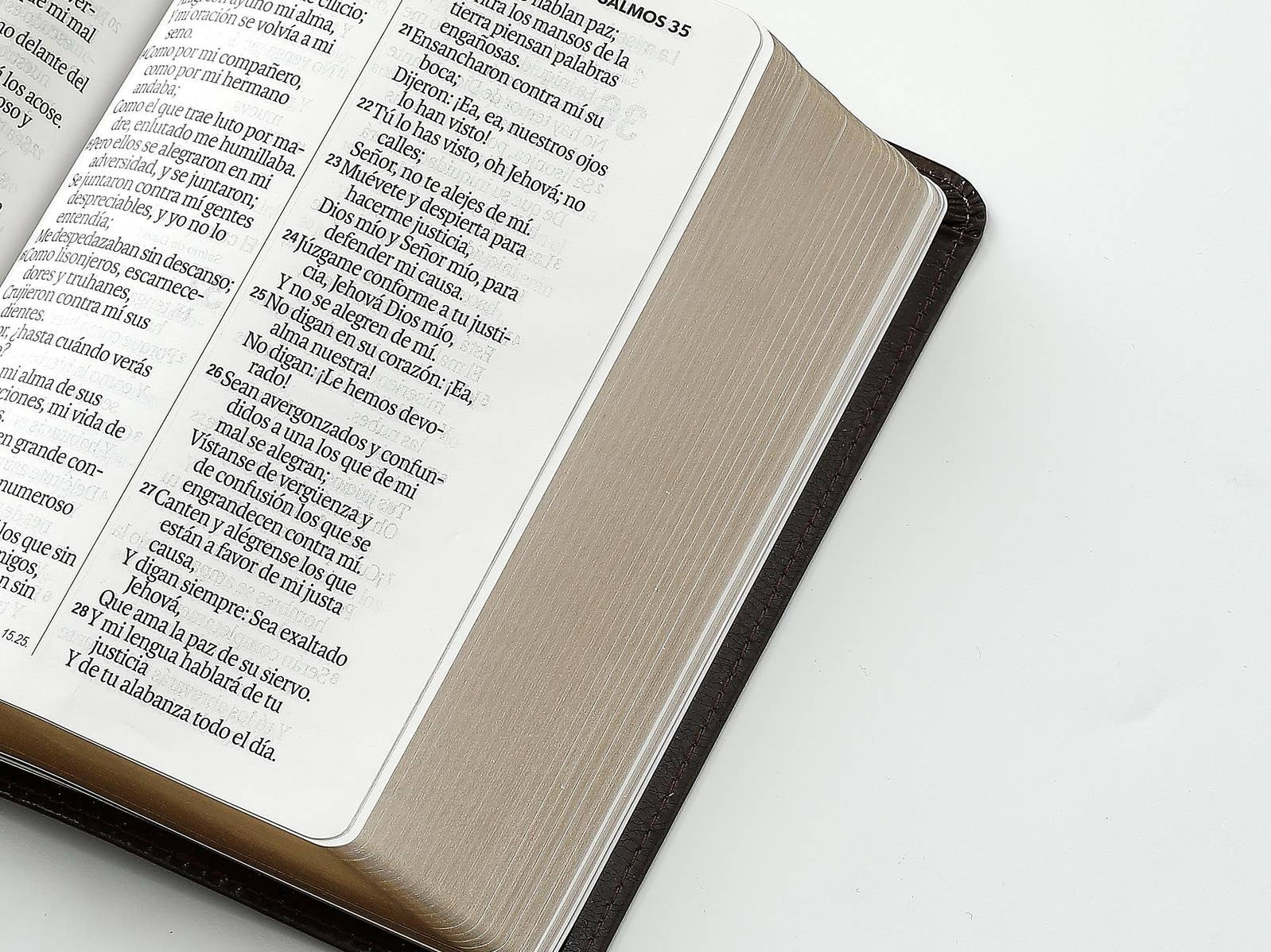 Biblia RVR60 tamaño compacto Letra Grande