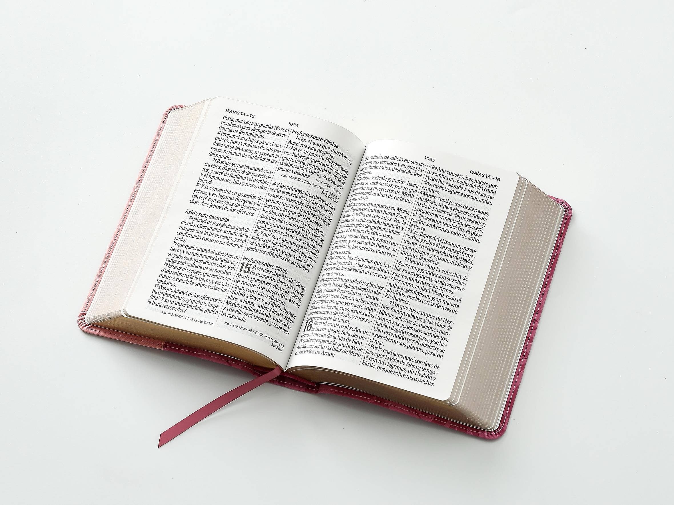 Biblia RVR60 tamaño compacto Letra GRande rosa