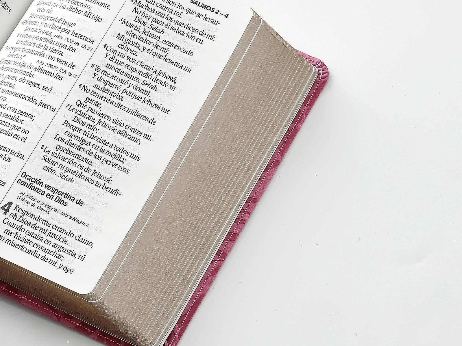 Biblia RVR60 tamaño compacto Letra GRande rosa