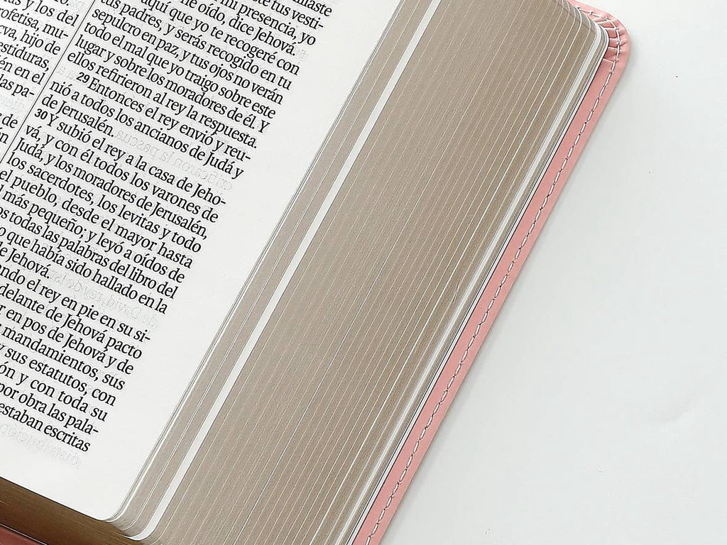 Biblia RVR60 tamaño compacto Letra Grande rosa