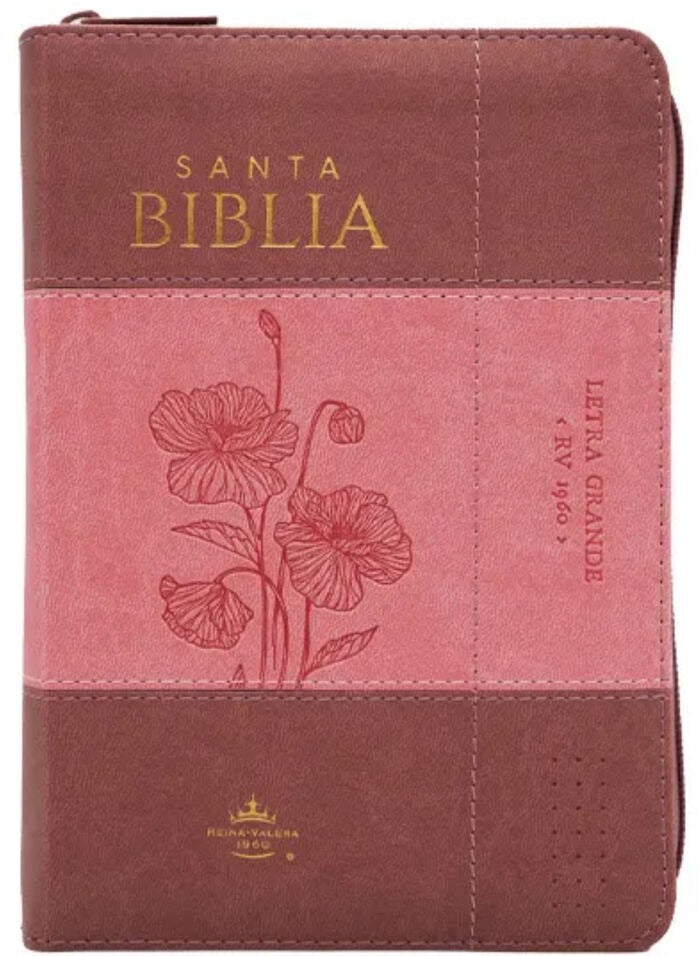 Biblia RVR60 Tamaño Compacto Letra Grande 12 puntos