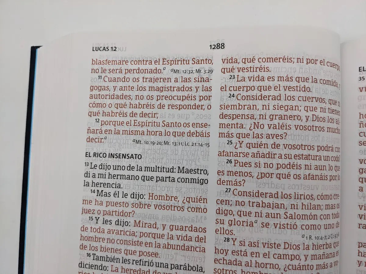 Biblia RVR 1960 Letra Súper Gigante Bordado Sobre Tela