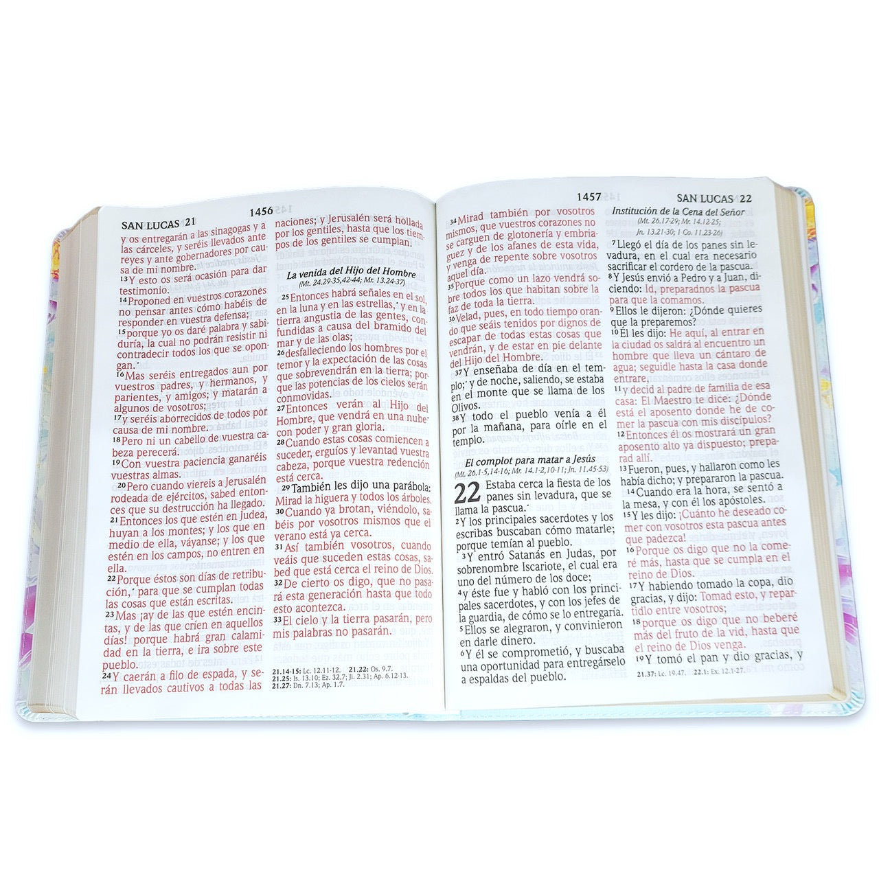 Biblia RVR 1960 Letra Súper Gigante Símil Piel Salvia Claro