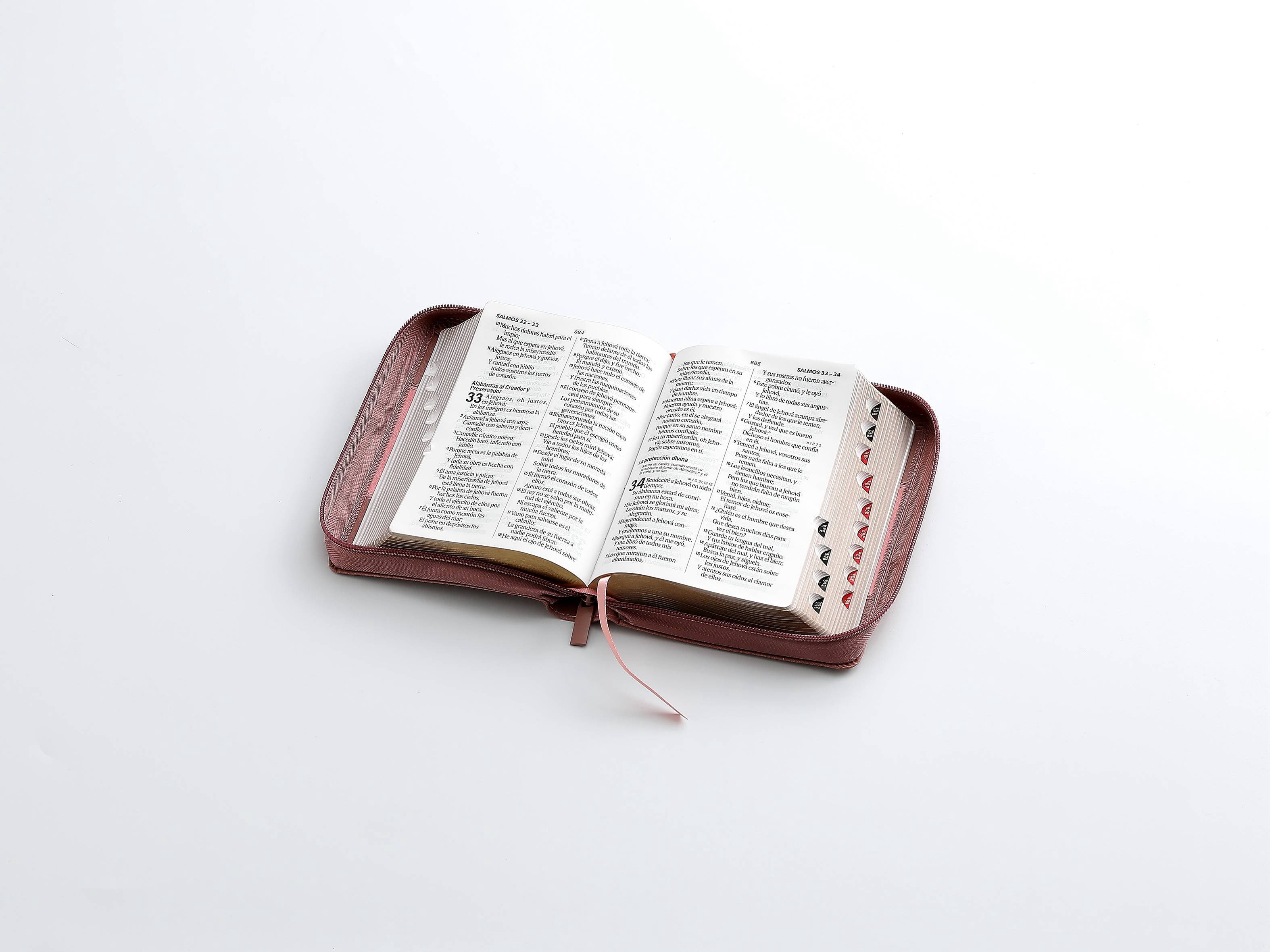 Biblia RVR60 Tamaño Compacto Letra Grande 12 puntos