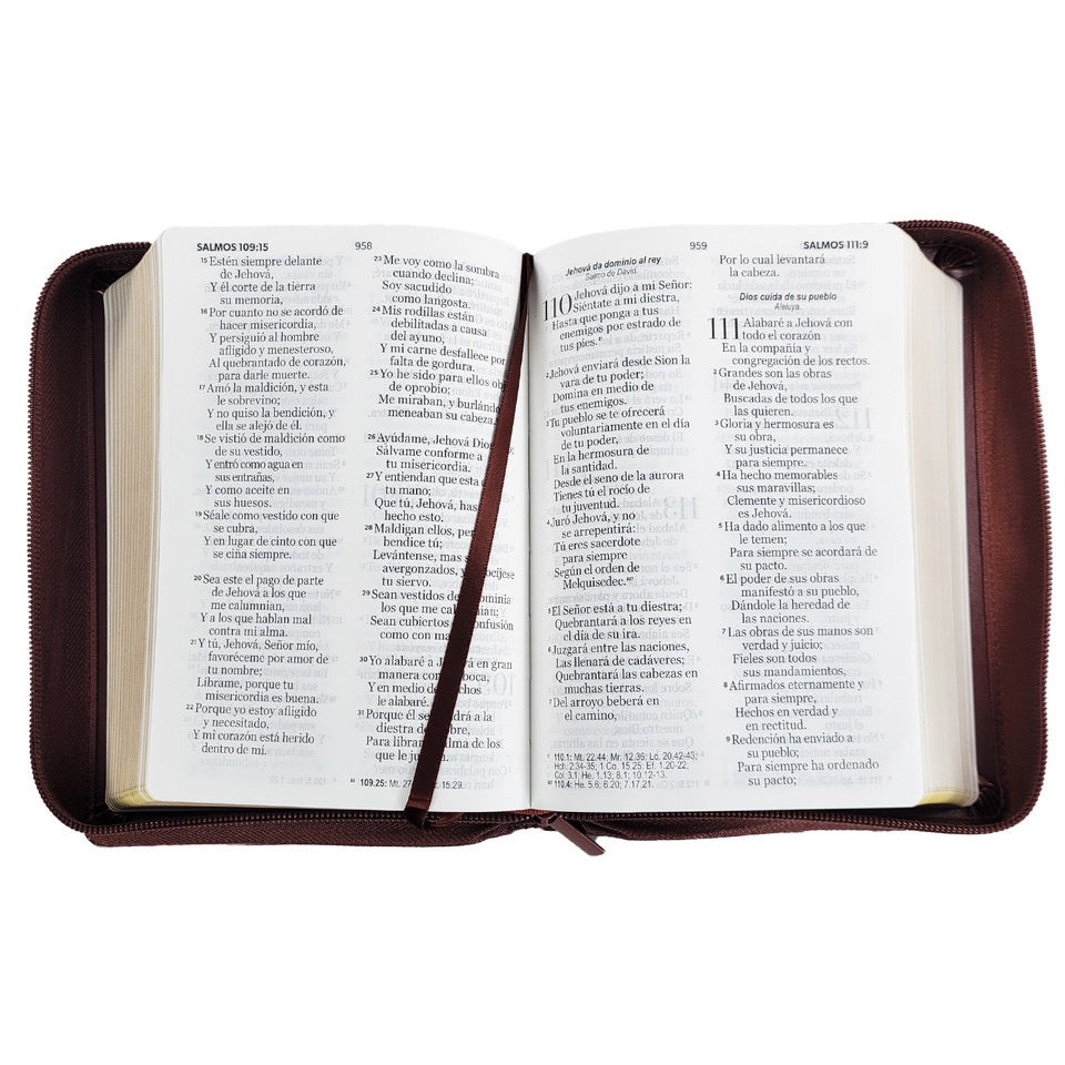 BIBLIA RVR60 PORTÁTIL LETRA GRANDE 11 PUNTOS