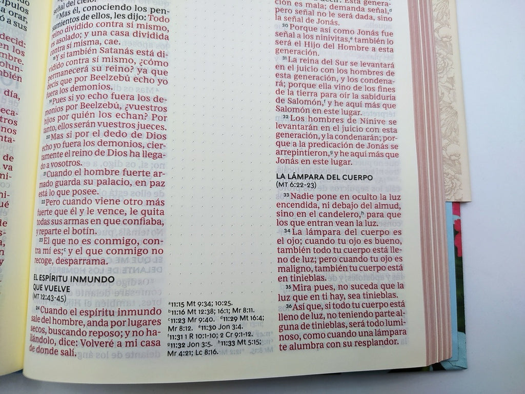 Biblia edición artística Tapa dura entelada