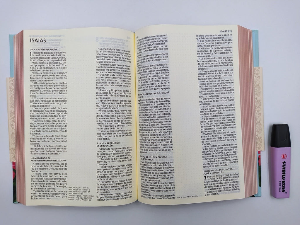 Biblia edición artística Tapa dura entelada