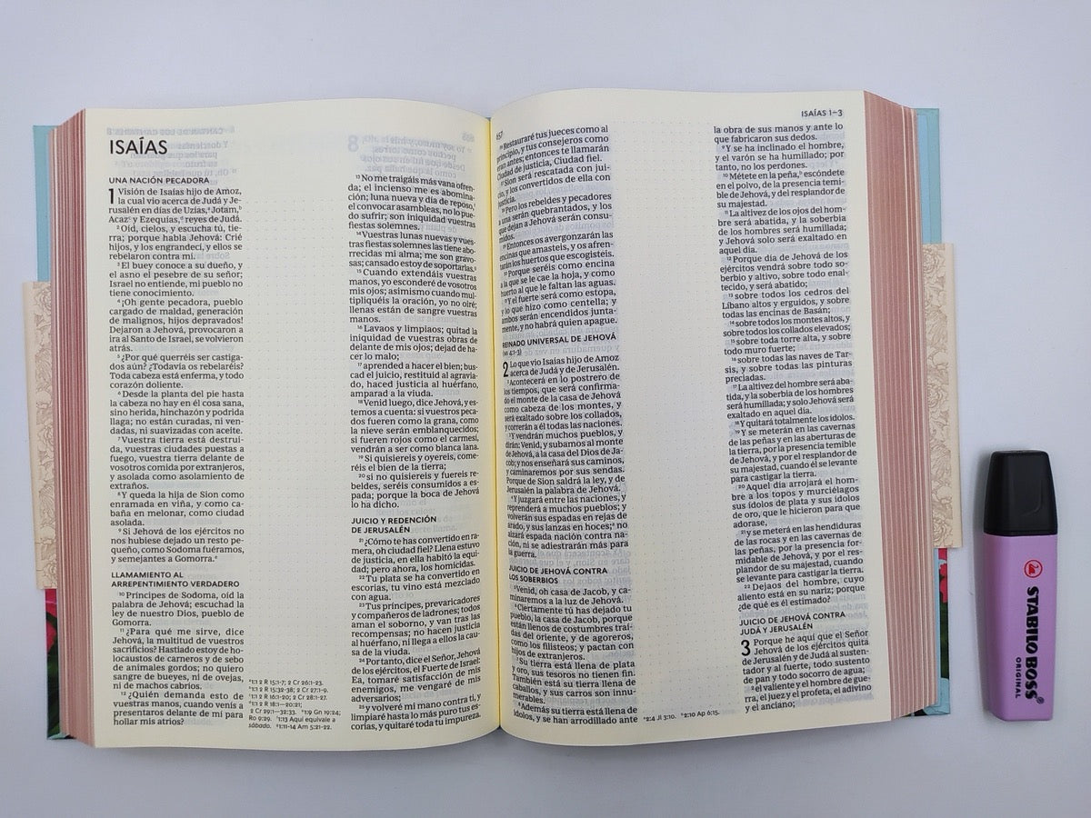 Biblia edición artística Tapa dura entelada