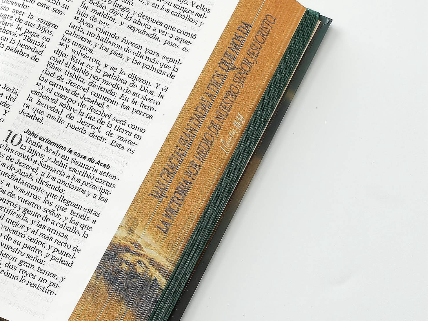 Biblia RVR60 Tamaño manual LEtra GRande TApa dura león