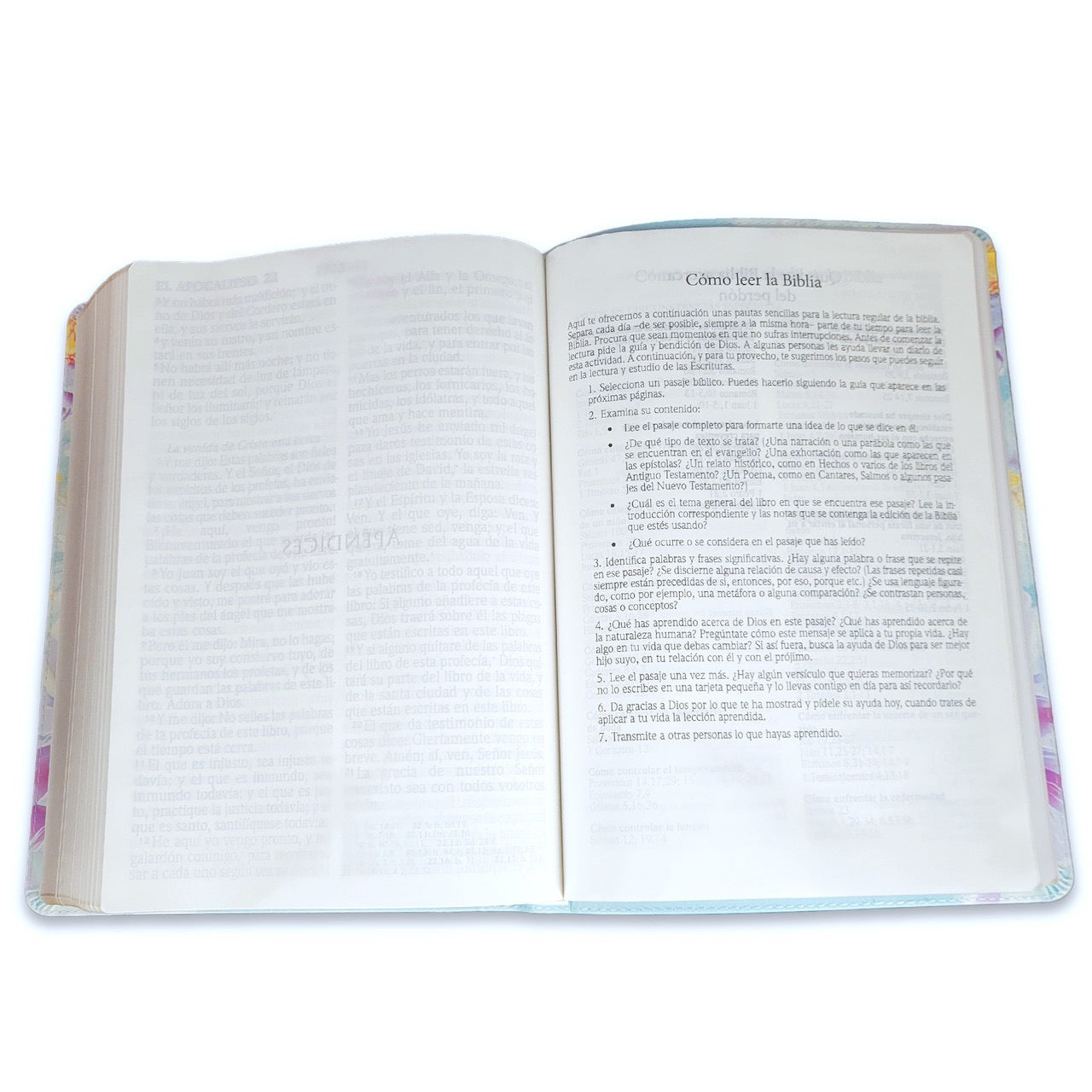 Biblia RVR 1960 Letra Súper Gigante Símil Piel Salvia Claro