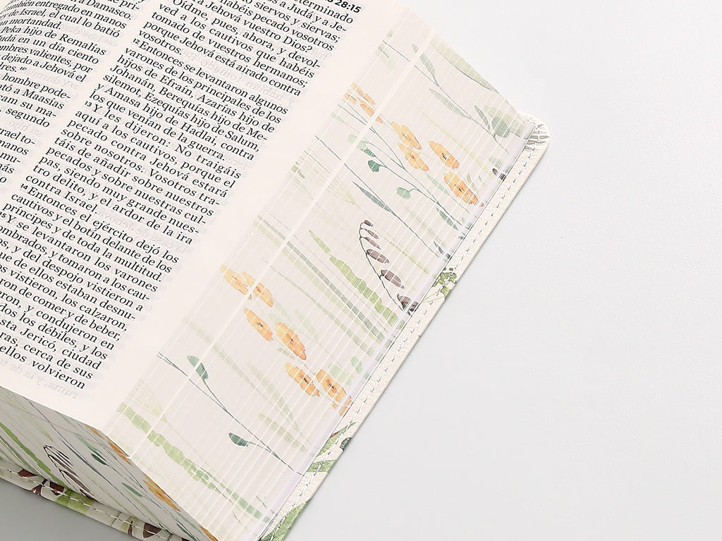 Biblia RVR60 portátil Letra Grande 11 puntos marrón