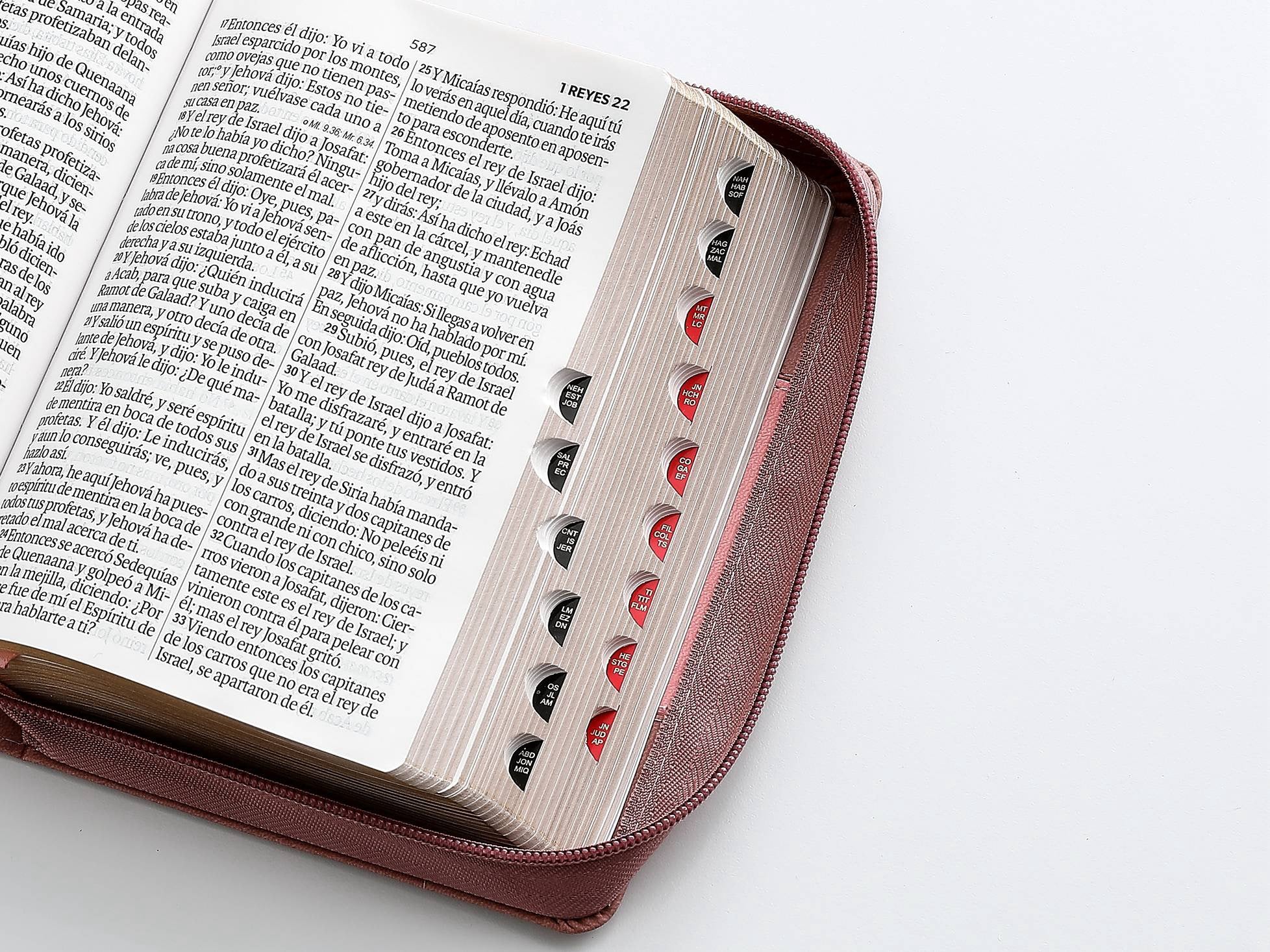 Biblia RVR60 Tamaño Compacto Letra Grande 12 puntos