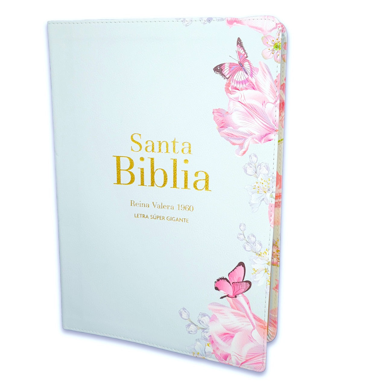 Biblia RVR 1960 Letra Súper Gigante Símil Piel Salvia Claro