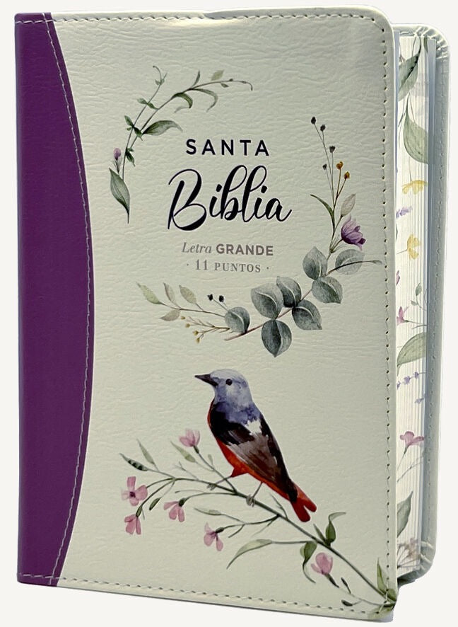 Biblia RVR60 portátil Letra Grande 11 puntos lila
